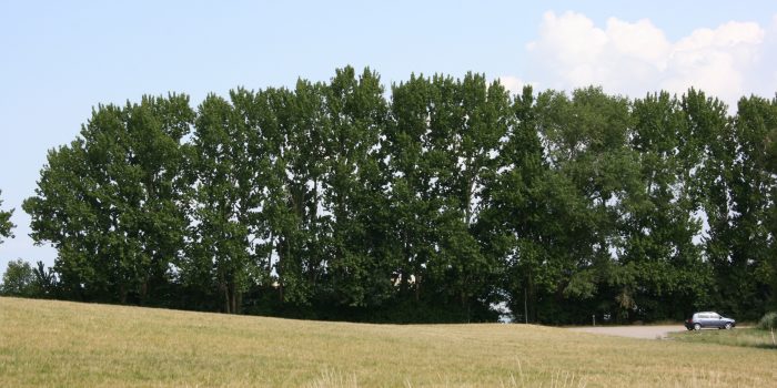 3 tilbud på jordvarmeanlæg